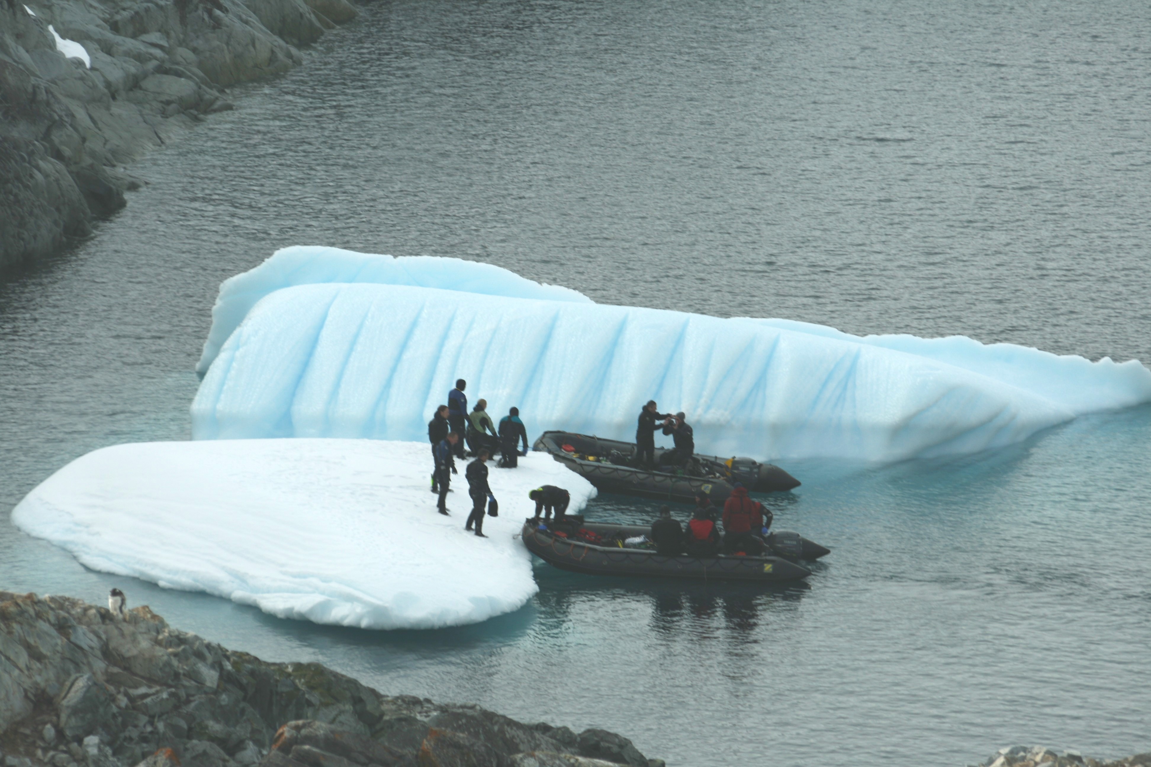 Dive Zodiacs landing